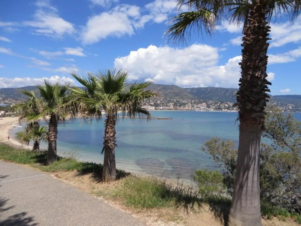 Appartamento Studio Bormes-les-Mimosas, 1 pièce, 2 personnes - FR-1-610-63 Francia